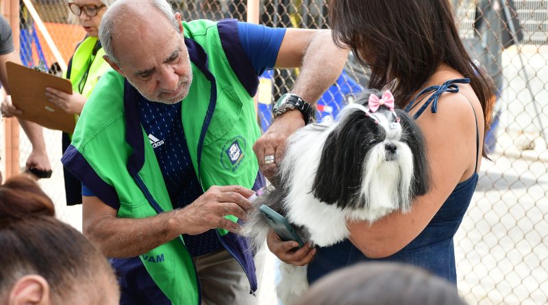 Nova Iguaçu vacina cães e gatos contra a raiva neste sábado (17)