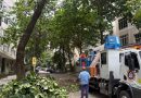 Ipanema recebe nova etapa do Corredores de Excelência com serviços integrados