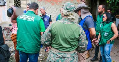 Prefeitura de Meriti resgata 18 porcos após denúncias em Coelho da Rocha