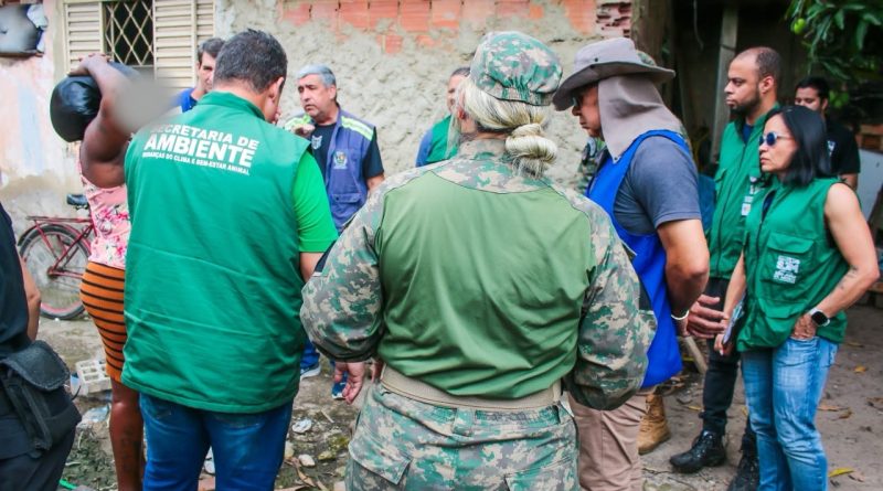 Prefeitura de Meriti resgata 18 porcos após denúncias em Coelho da Rocha