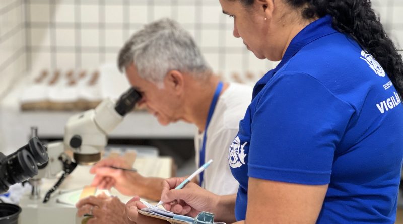 Rio das Ostras usa método mais eficaz para identificar presença de Aedes Aegypti