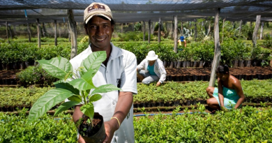 No Rio de Janeiro, órgãos públicos já contrataram mais de R$ 6,5 milhões de microempreendedores e agricultores familiares pelo Contrata+Brasil