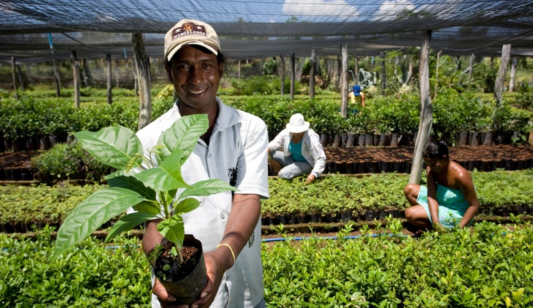 No Rio de Janeiro, órgãos públicos já contrataram mais de R$ 6,5 milhões de microempreendedores e agricultores familiares pelo Contrata+Brasil