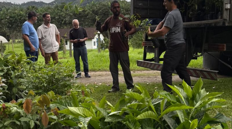 Casimiro de Abreu recebe 1.450 mudas frutíferas da Cedae para criar corredores verdes e pomares urbanos