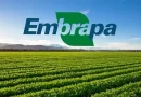Embrapa apresenta estratégias agropecuárias contra os impactos do El Niño nas cinco regiões do país