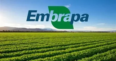 Embrapa apresenta estratégias agropecuárias contra os impactos do El Niño nas cinco regiões do país