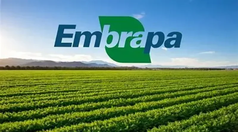 Embrapa apresenta estratégias agropecuárias contra os impactos do El Niño nas cinco regiões do país