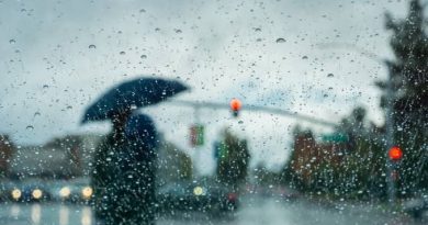 Chuva volta a ganhar força no Sul e Sudeste; veja previsão do tempo