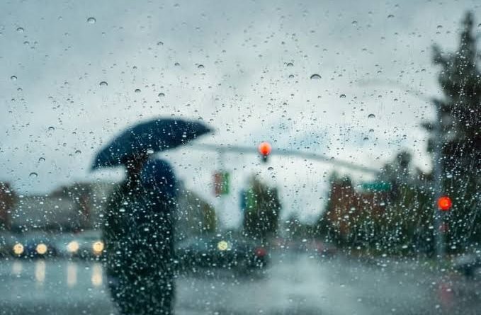 Chuva volta a ganhar força no Sul e Sudeste; veja previsão do tempo