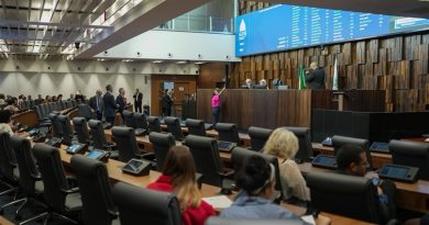 ALERJ aprova política estadual de cuidados às pessoas com transtorno de acumulação compulsiva de animais