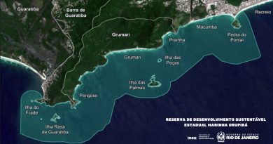 Rio de Janeiro cria reserva marinha para conservar a biodiversidade e fortalecer a pesca artesanal na Zona Oeste do Rio