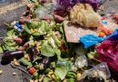 Leis da ALERJ incentivam doações e o combate à fome