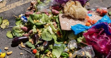 Leis da ALERJ incentivam doações e o combate à fome
