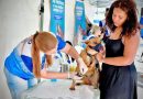 Belford Roxo promove ação de saúde, controle de zoonoses&nbsp;e vacinação antirrábica no Recantus neste sábado