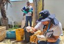 Macaé: Vigilância Ambiental divulga programação de controle de vetores para a semana epidemiológica 42
