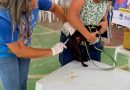 Belford Roxo: Ação contra a dengue visita mais de 500 residências&nbsp;e vacina mais de 400 animais em Recantus