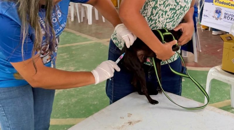 Belford Roxo: Ação contra a dengue visita mais de 500 residências&nbsp;e vacina mais de 400 animais em Recantus