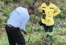 Prefeitura de Nova Iguaçu promove mutirão de reflorestamento na Serra do Vulcão neste sábado (24)