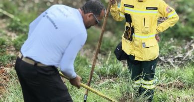 Prefeitura de Nova Iguaçu promove mutirão de reflorestamento na Serra do Vulcão neste sábado (24)