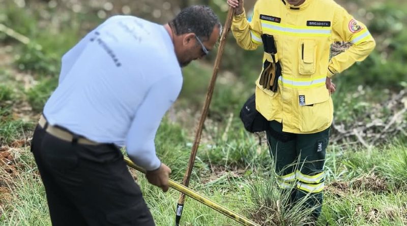 Prefeitura de Nova Iguaçu promove mutirão de reflorestamento na Serra do Vulcão neste sábado (24)