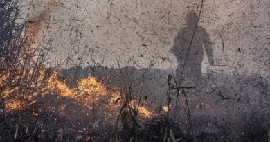 Governo do Brasil aprova R$ 45,2 milhões para ajudar o Amazonas