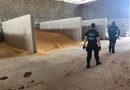 Polícia Civil deflagra operação contra esquema de sonegação fiscal com débitos superiores a R$` 100 milhões