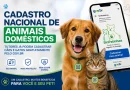 Rio de Janeiro tem 175 mil animais domésticos cadastrados no SinPatinhas
