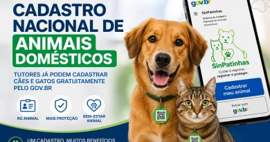 Rio de Janeiro tem 175 mil animais domésticos cadastrados no SinPatinhas