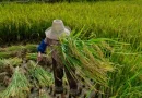 Cabo Frio sedia capacitação sobre combate ao trabalho escravo no Brasil