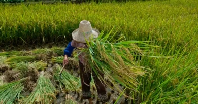 Cabo Frio sedia capacitação sobre combate ao trabalho escravo no Brasil